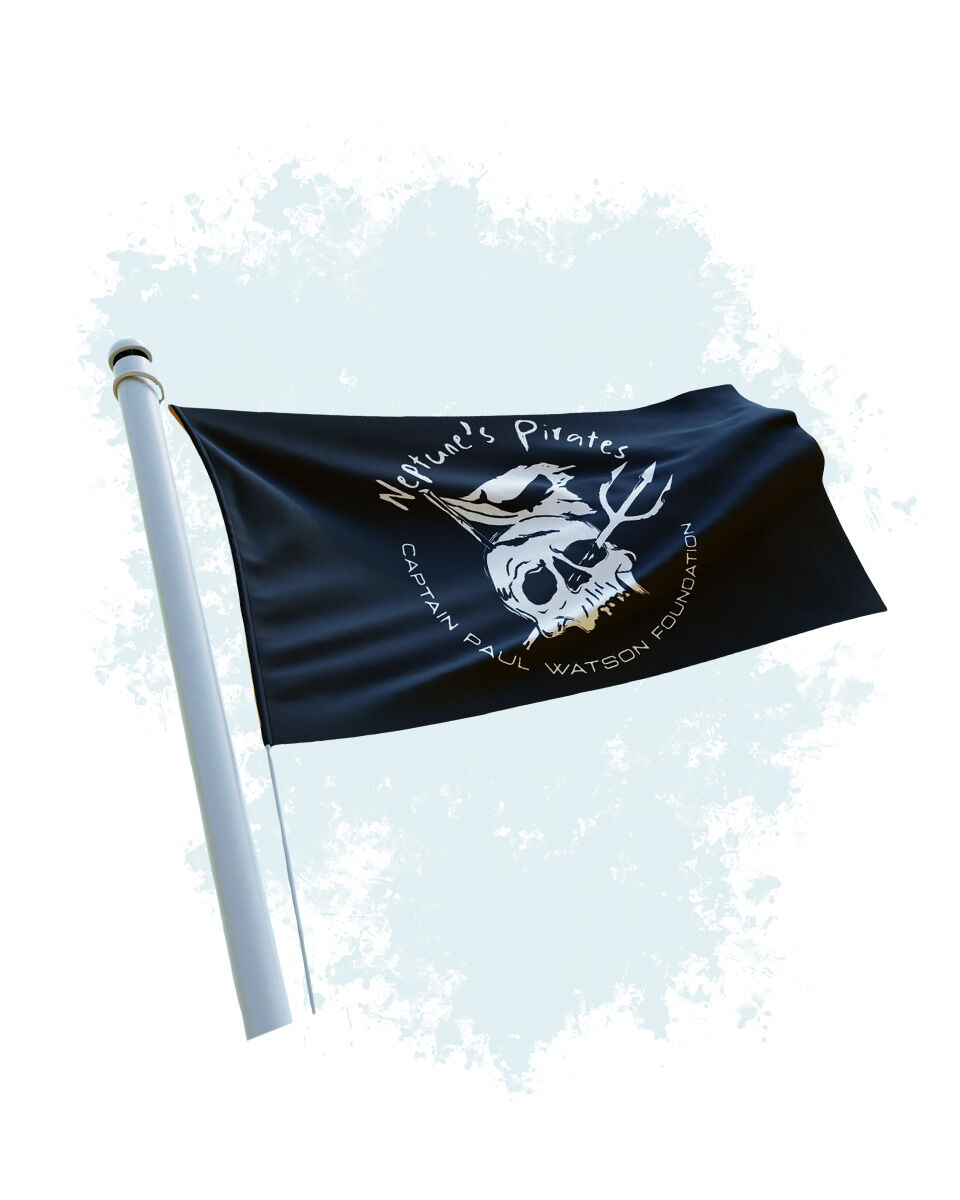Flagge - Neptunes Pirates Miniaturansicht